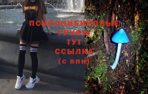 a pvp Абаза