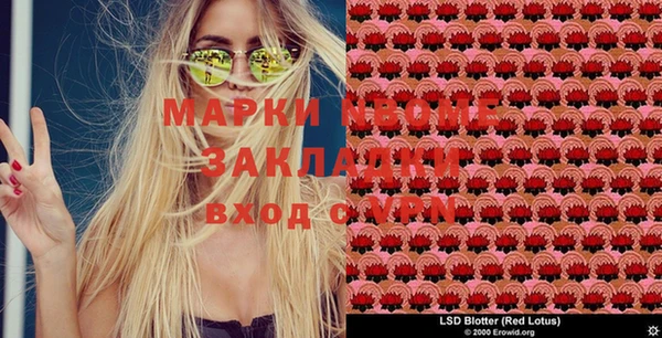 ГАЛЛЮЦИНОГЕННЫЕ ГРИБЫ Абинск