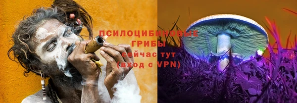 a pvp Абаза
