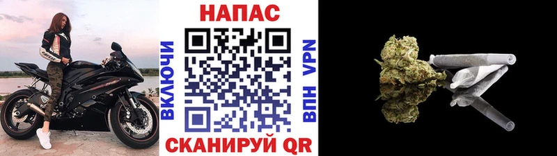 МАРИХУАНА гибрид  Горбатов 